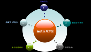 融资服务提供商 （合资项目） 