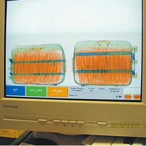 凡携带食品、动植物及其制品入境一定要申报