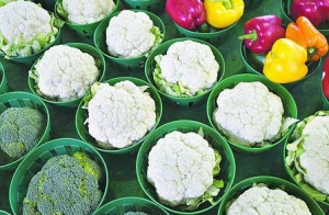 加元贬值食物涨价，餐厅不敌椰菜花价狂涨，停卖招牌菜换食材节省成本 ...