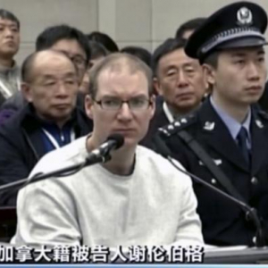 加发中国旅游警告，辩护律师谈谢伦伯格案件