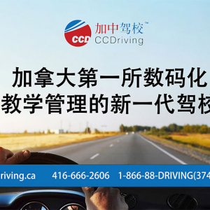安省考驾照是怎么样一个流程?