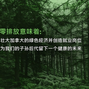 加拿大政府规划清洁增长蓝图，引入新法案2050年前实现净零排放 ...