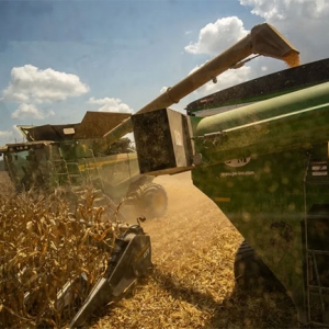 特朗普贸易战加剧，美国农民陷入“农灾浩劫”困境